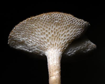 e0035757_22092300.jpg