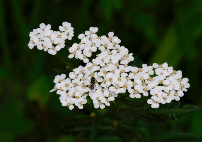 a0248459_00434761.jpg