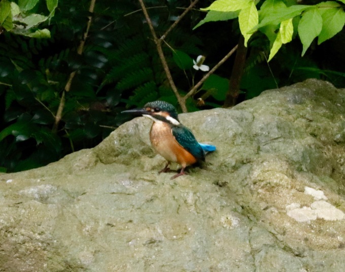 a0248459_14205911.jpg