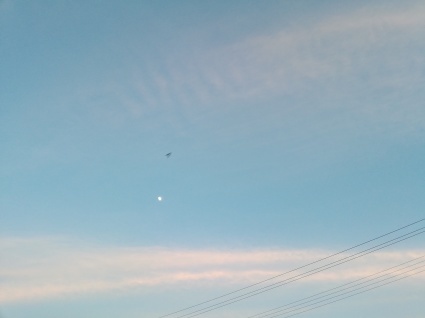 b0368362_13084130.jpg