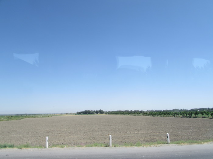 c0002171_02510094.jpg