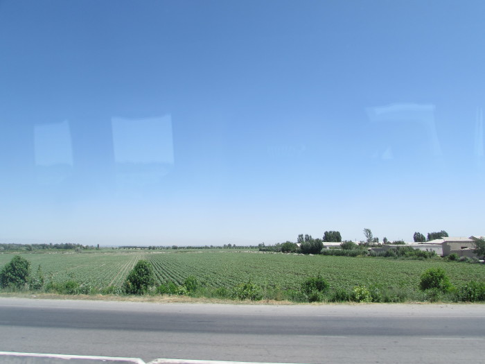 c0002171_02511568.jpg