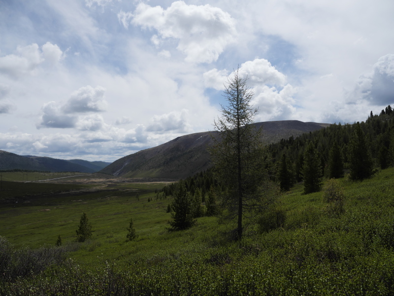 b0368380_21194177.jpg