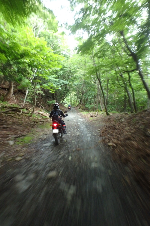 はじめましての氷ノ山林道ツーリング V 気ままなライダー むぎこのバイクlog はじめましての氷ノ山林道ツーリング V 気ままなライダー むぎこのバイクlog