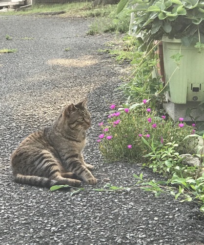 a0216583_23340538.jpeg