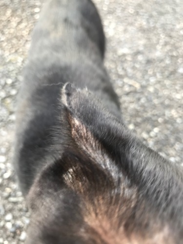 a0216583_23342152.jpeg