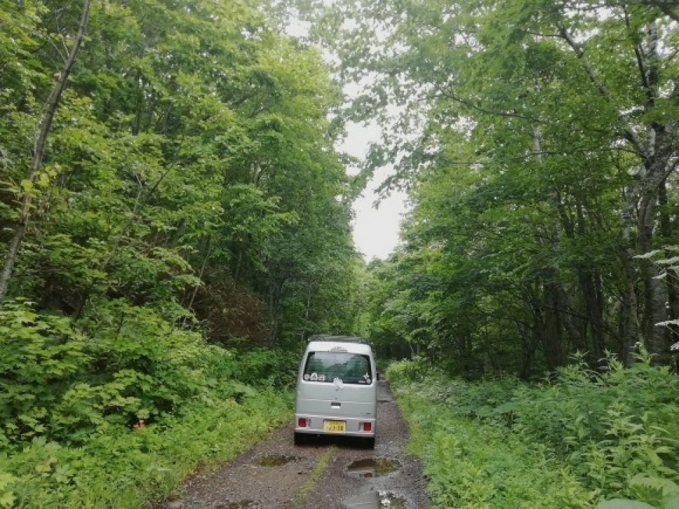 c0212083_16565401.jpg
