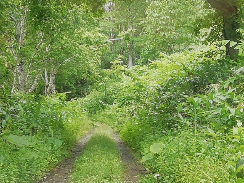 c0212083_16575445.jpg