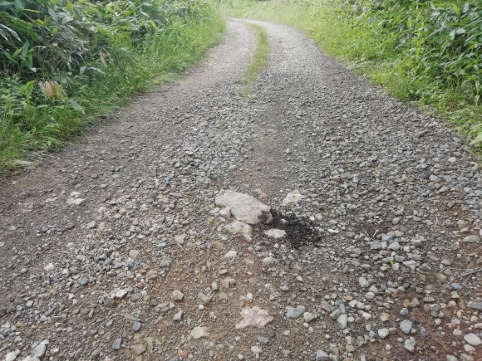 c0212083_16590936.jpg