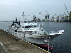 b0192588_8324797.jpg