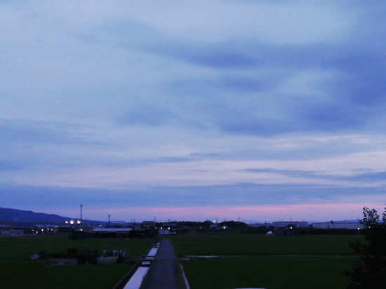 e0246788_11465056.gif