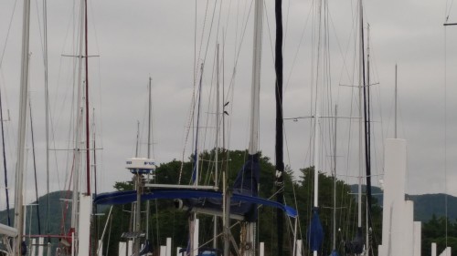 f0166694_19535090.jpg