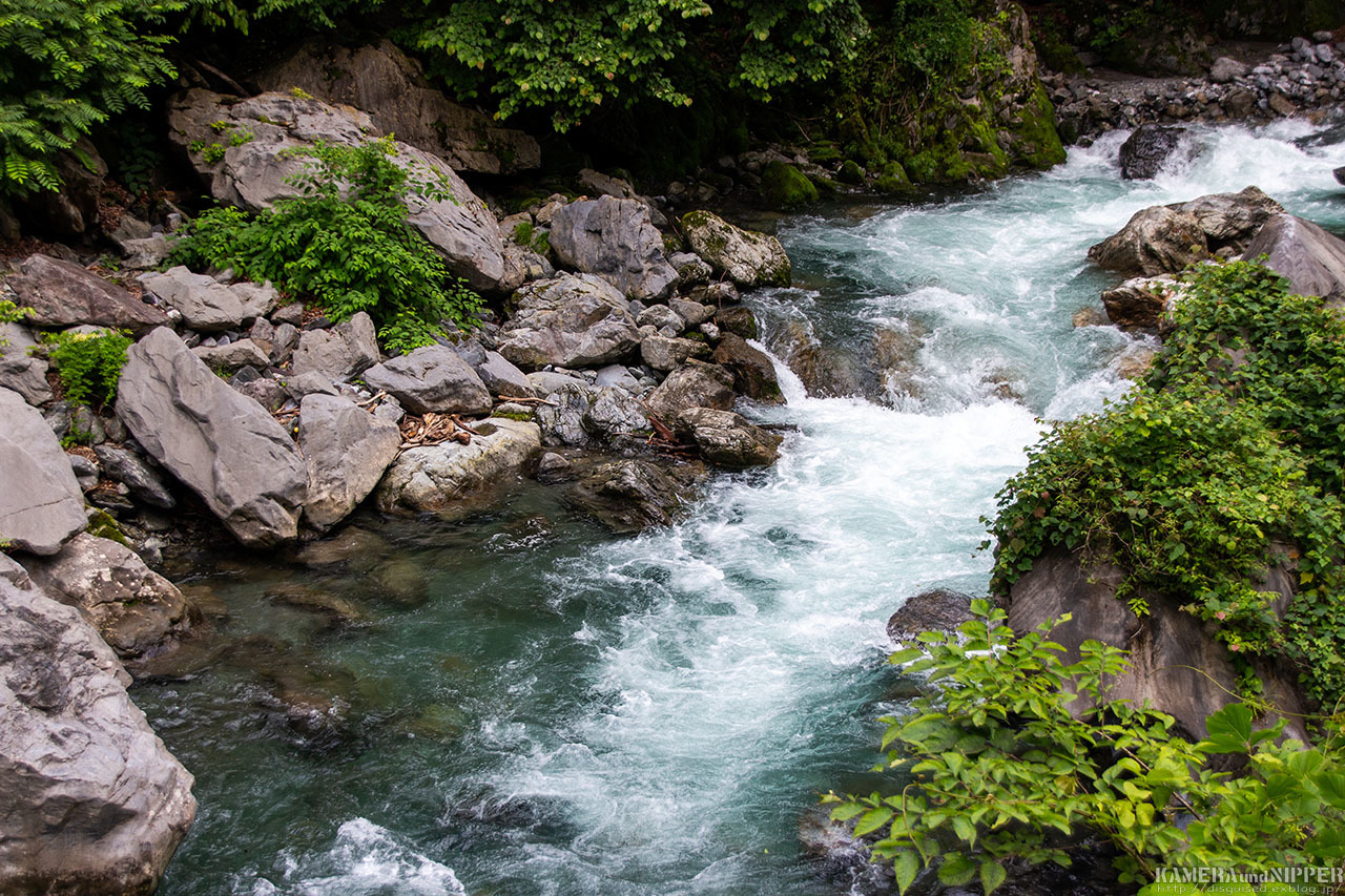 a0207595_20123251.jpg