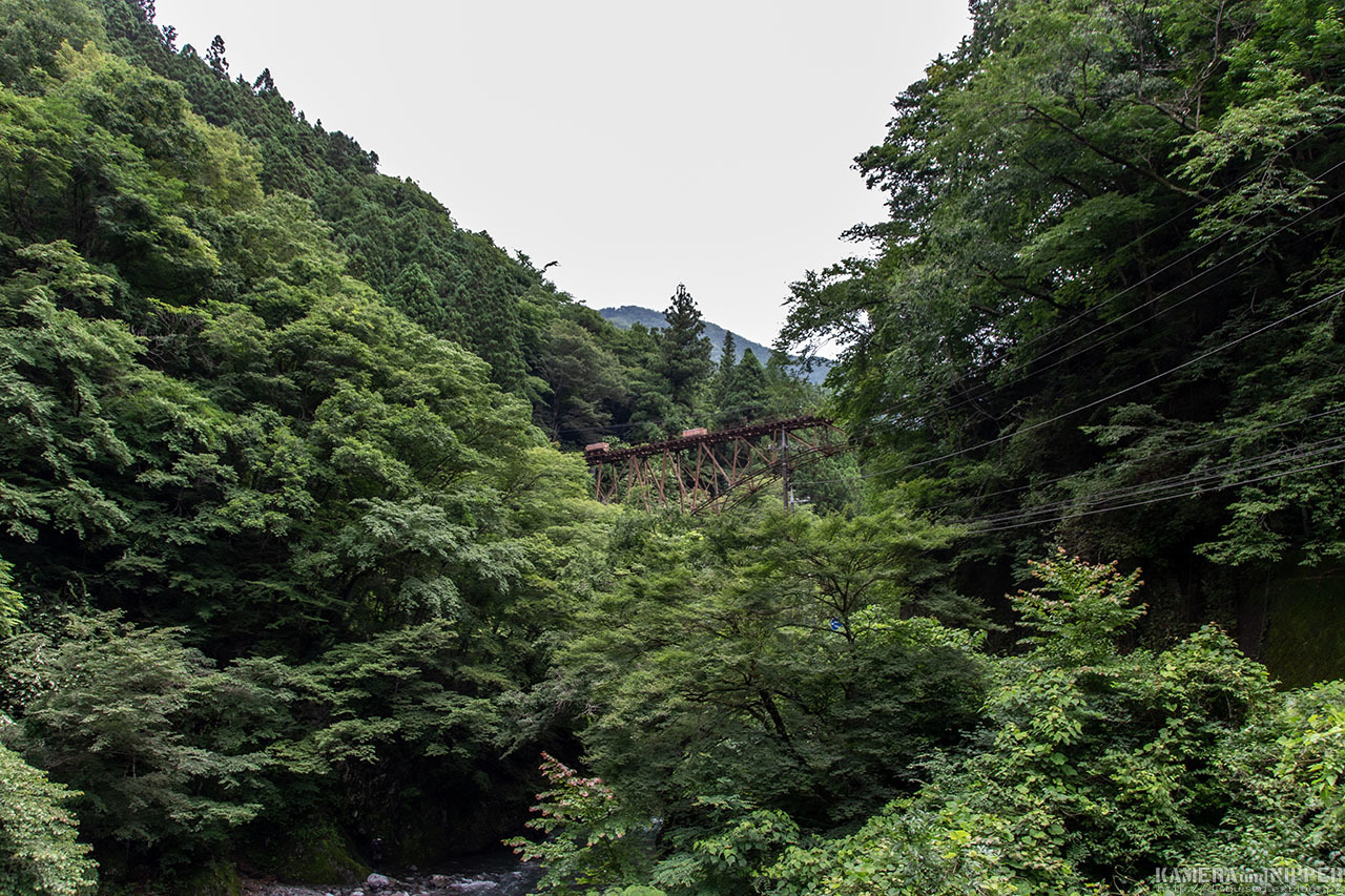 a0207595_20133506.jpg