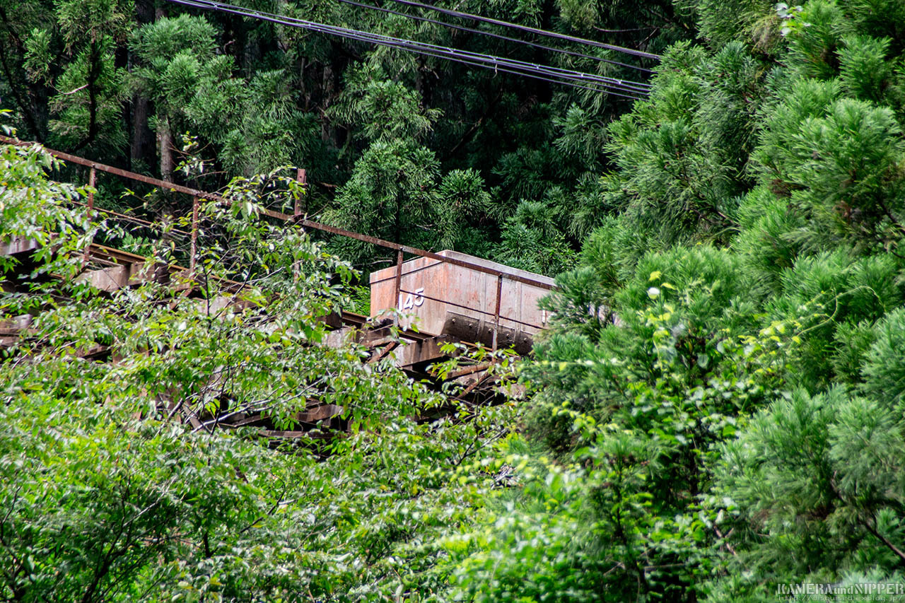 a0207595_20135830.jpg