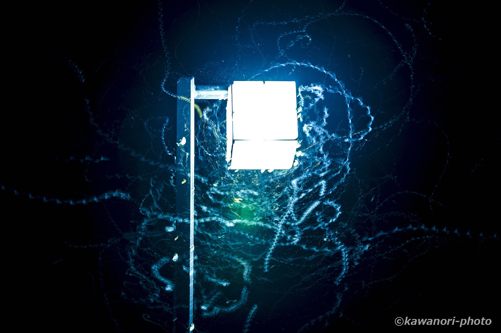 d0146295_20290273.jpg