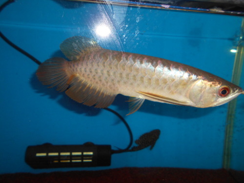 e0143096_17201053.jpg