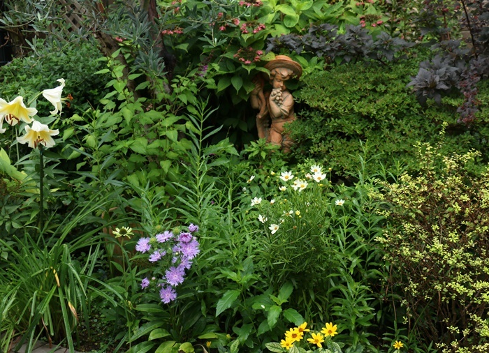 雨の庭で　夏への植栽計画～_a0123003_11543865.jpg