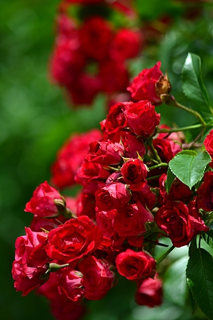a0240403_20134546.jpg