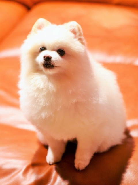 怖くなんかない!!_d0360206_00571703.jpg