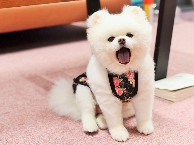 怖くなんかない!!_d0360206_00573788.jpg