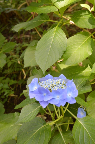 c0279611_15541628.jpg