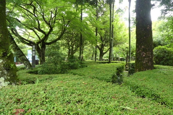 d0170615_19590034.jpg