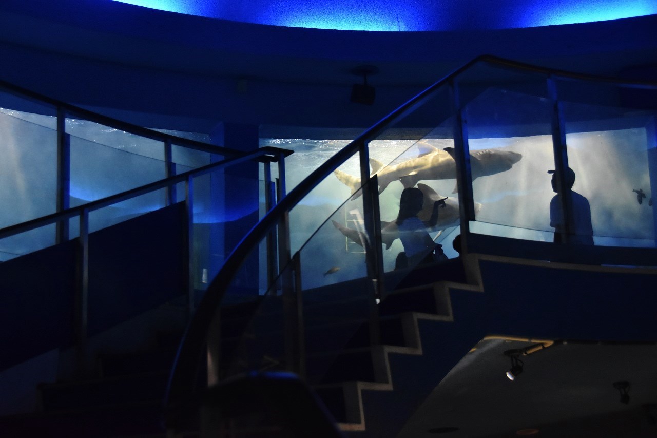 d0065116_22463846.jpg
