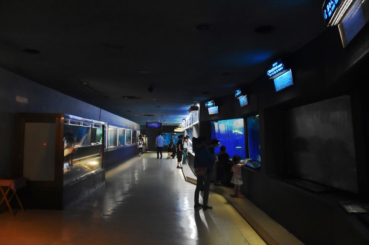 d0065116_22543160.jpg