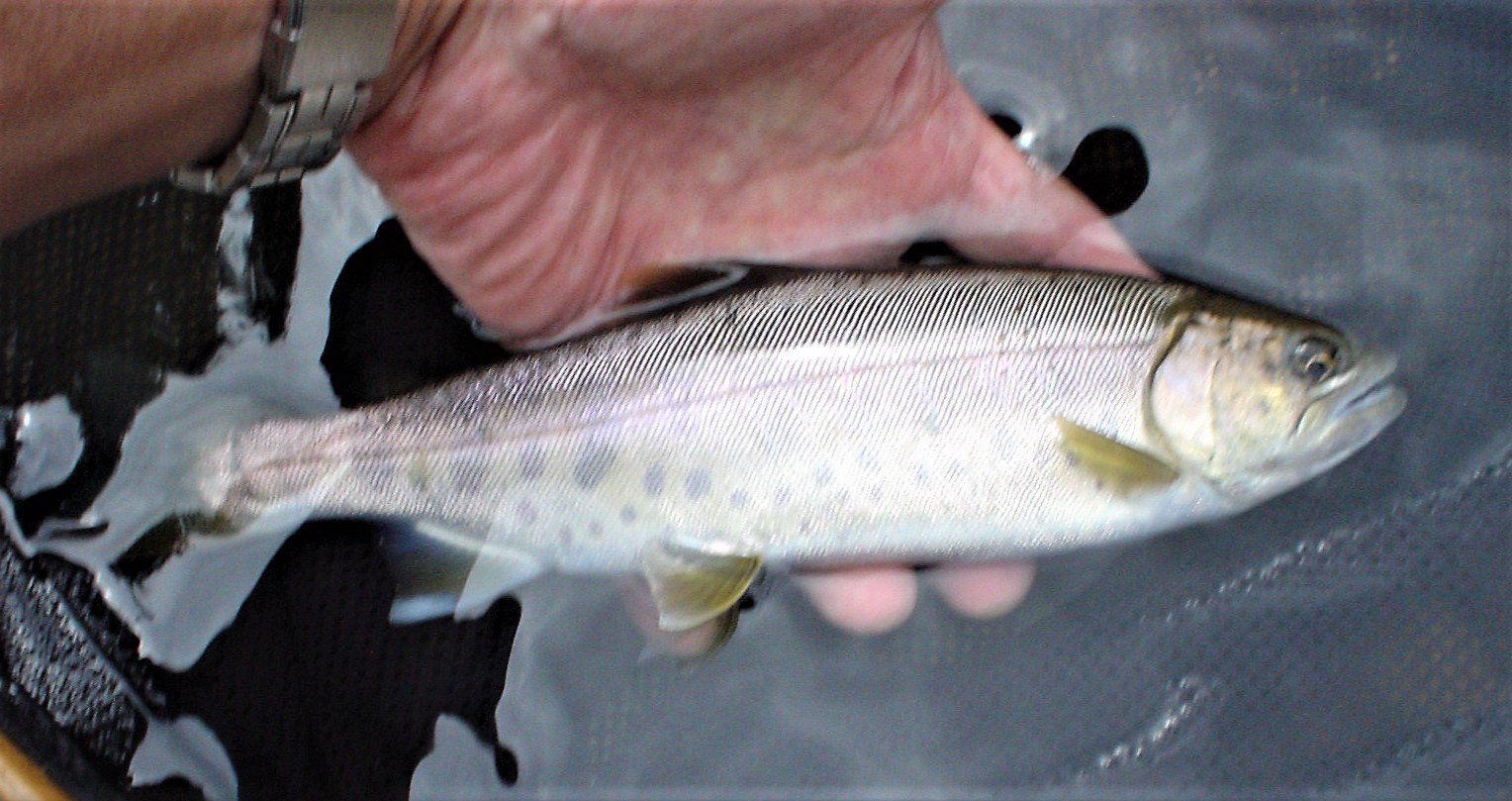 f0280717_14334661.jpg