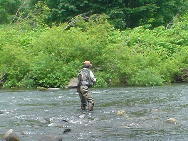 f0280717_14364962.jpg