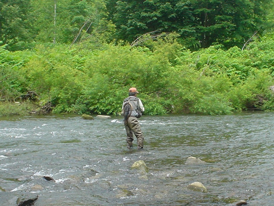 f0280717_14371763.jpg