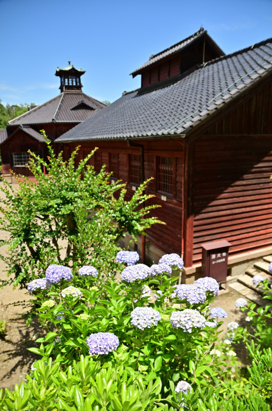 e0362418_17432072.jpg