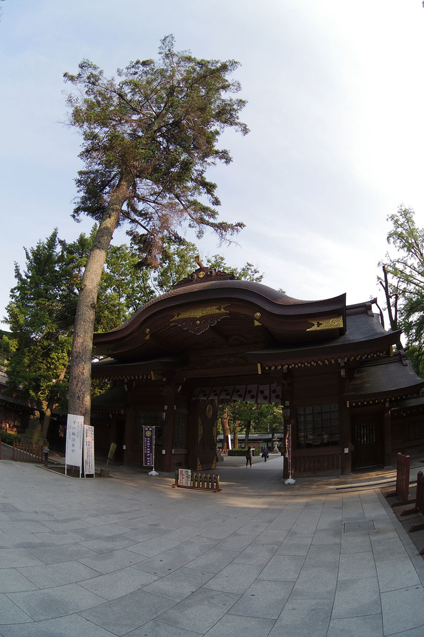 微妙な魚眼で行く初夏の大國魂神社-2_b0058021_11130657.jpg