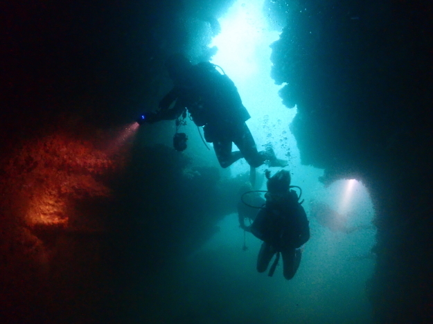 c0115421_20230611.jpg