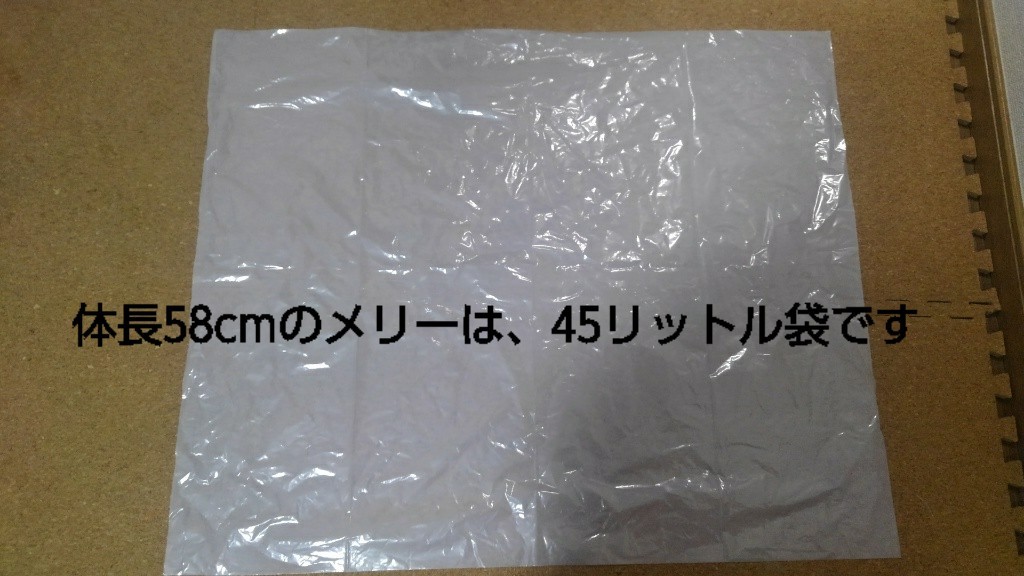 b0339522_12551799.jpg