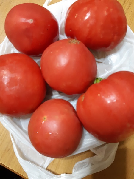 自家菜園の美味しいトマトを頂きました_f0292222_17394236.jpg