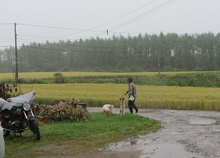 雨降りの一日_b0405523_12480917.jpg