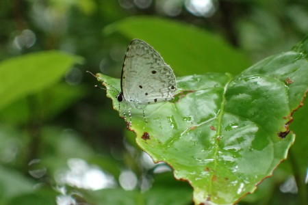 c0353632_09345667.jpg