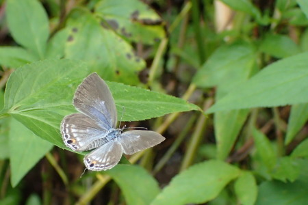 c0353632_09411023.jpg