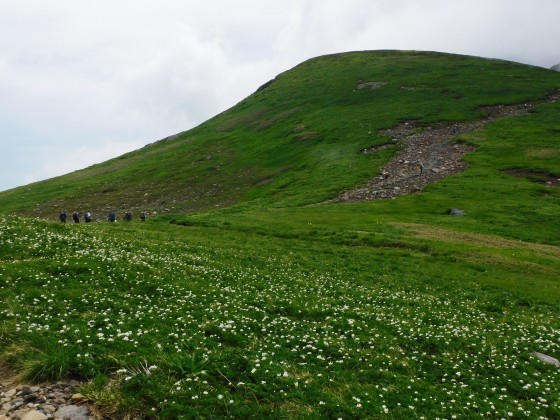 f0118332_23483737.jpg