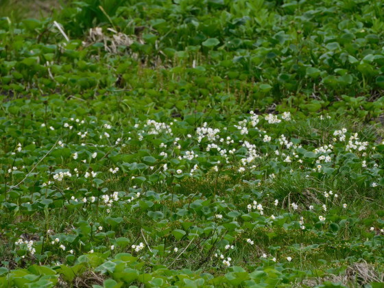 f0118332_23494301.jpg