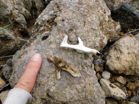 f0118332_23531576.jpg