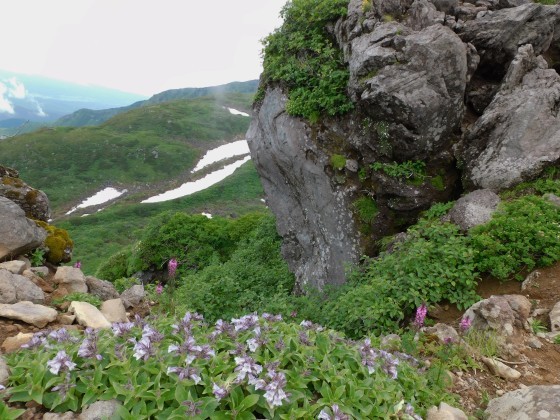 f0118332_23534680.jpg