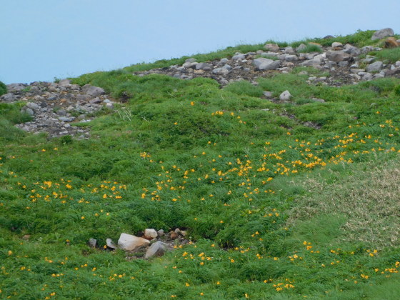 f0118332_23542301.jpg