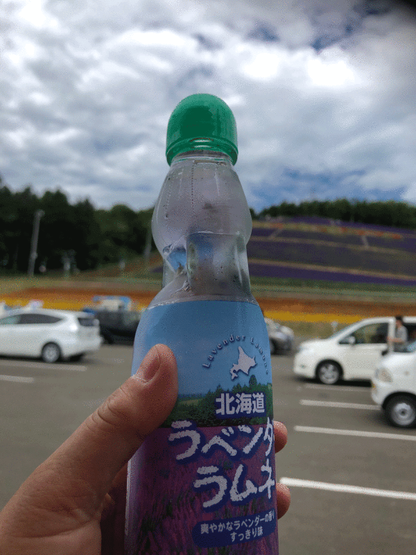 d0069235_19513051.gif