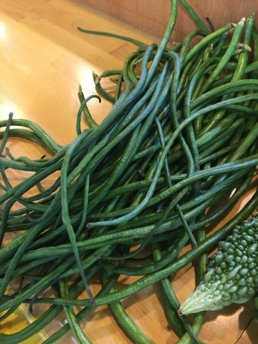 【たんぽぽ温泉デイ】夏の大収穫祭&ミュージカル _e0196839_13261094.jpeg