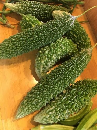 【たんぽぽ温泉デイ】夏の大収穫祭&ミュージカル _e0196839_13264005.jpeg