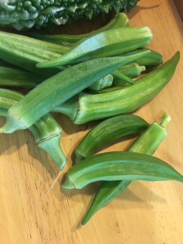 【たんぽぽ温泉デイ】夏の大収穫祭&ミュージカル _e0196839_13265239.jpeg