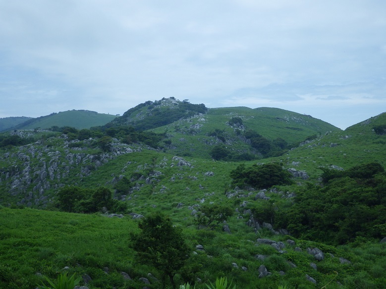 e0164643_16432136.jpg